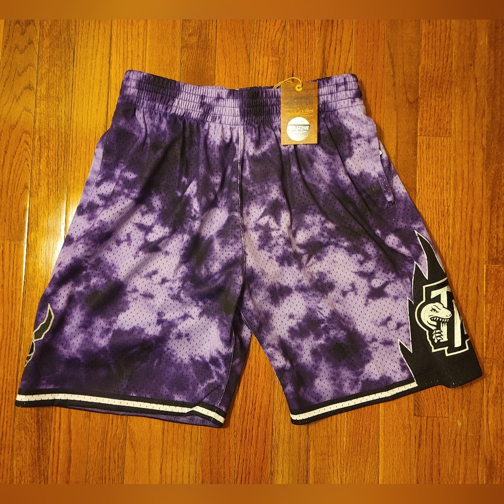 Mitchell & Ness NBA Galaxy Swingman Shorts (Toronto Raptors)
